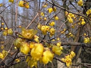 PICT1732.JPG