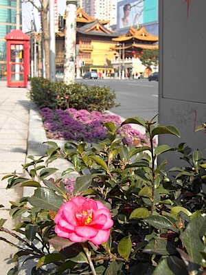 PICT1737.JPG