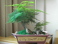 PICT1883.JPG