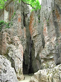 PICT2414.JPG
