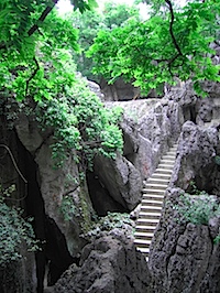 PICT2416.JPG