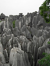 PICT2434.JPG
