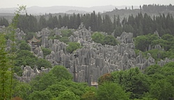 PICT2441.JPG