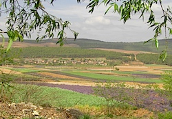 PICT2725.JPG