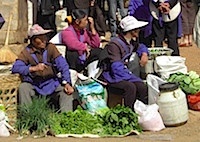 PICT2729.JPG
