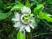 PICT2743.JPG