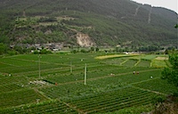 PICT2772.JPG