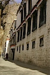 DSC02933