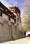 DSC02971