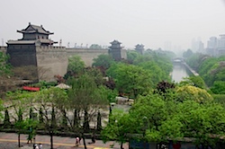DSC00314